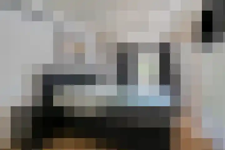Diederikstraat 28 Gemert thumbnail 23