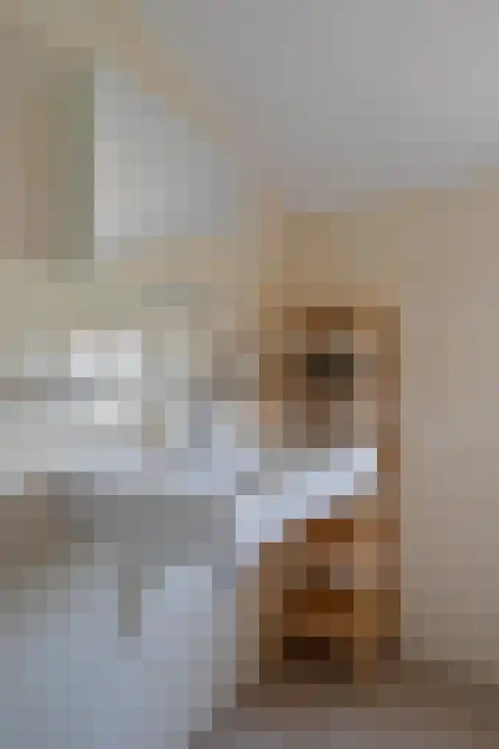 Diederikstraat 28 Gemert thumbnail 27
