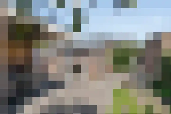 Diederikstraat 28 Gemert thumbnail 31