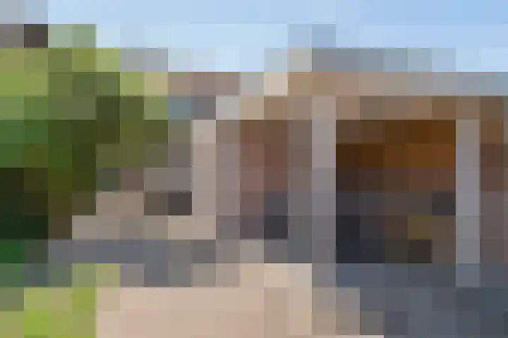 Diederikstraat 28 Gemert thumbnail 5