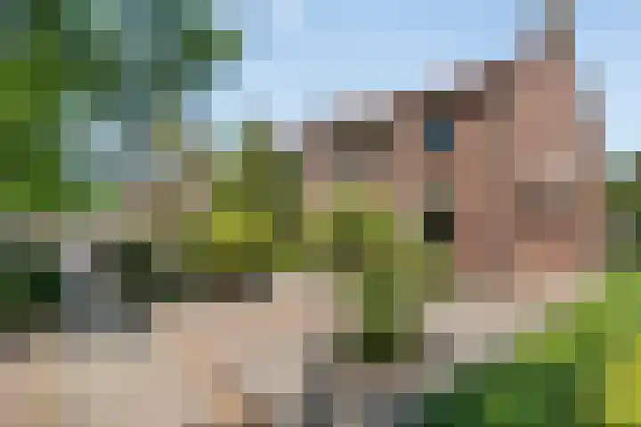Diederikstraat 28 Gemert thumbnail 7