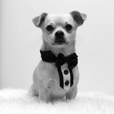 Foto van Diego Murgia