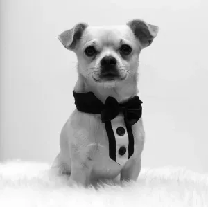 Foto van Diego Murgia