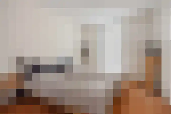 Diekirchlaan 43 Eindhoven thumbnail 25