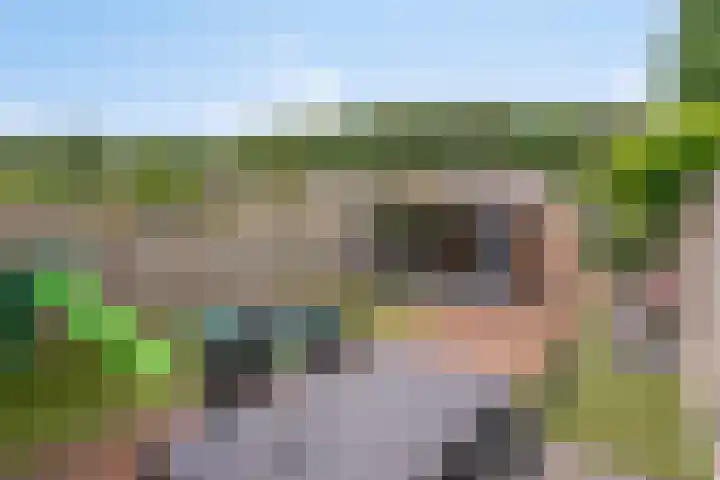 Diekirchlaan 43 Eindhoven thumbnail 29