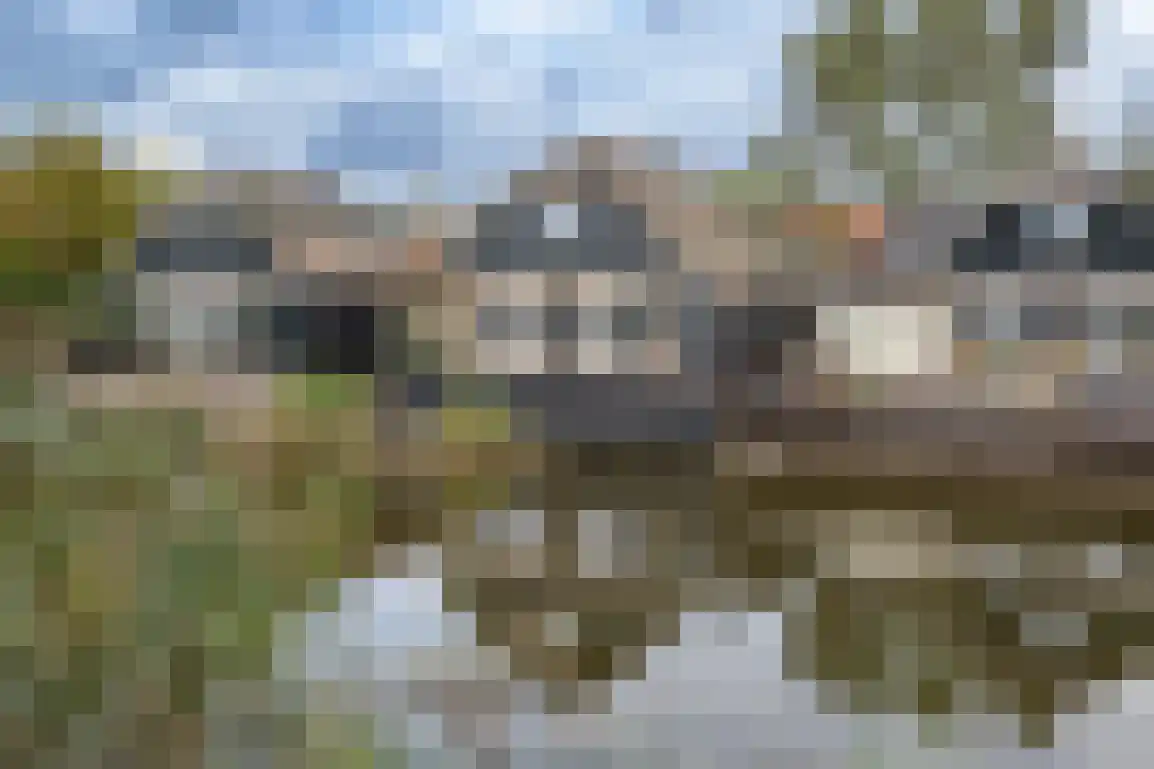 Dieklaan 12 Middelharnis