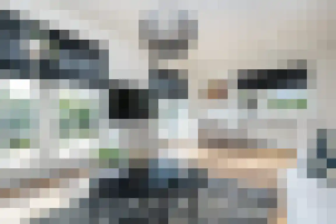 Dieklaan 12 Middelharnis thumbnail 10