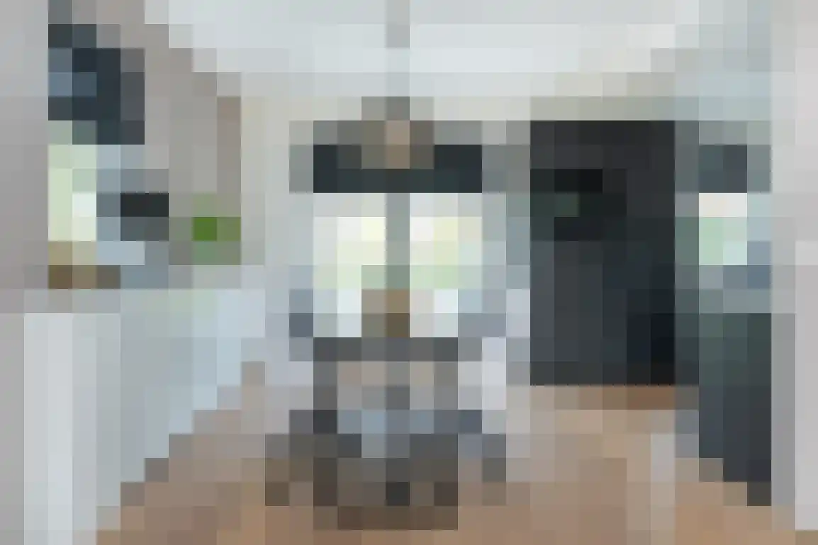 Dieklaan 12 Middelharnis thumbnail 14