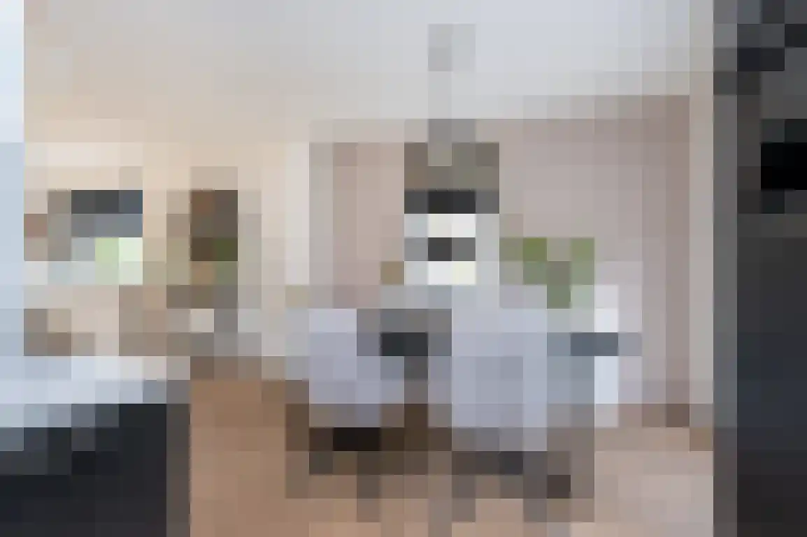 Dieklaan 12 Middelharnis thumbnail 15