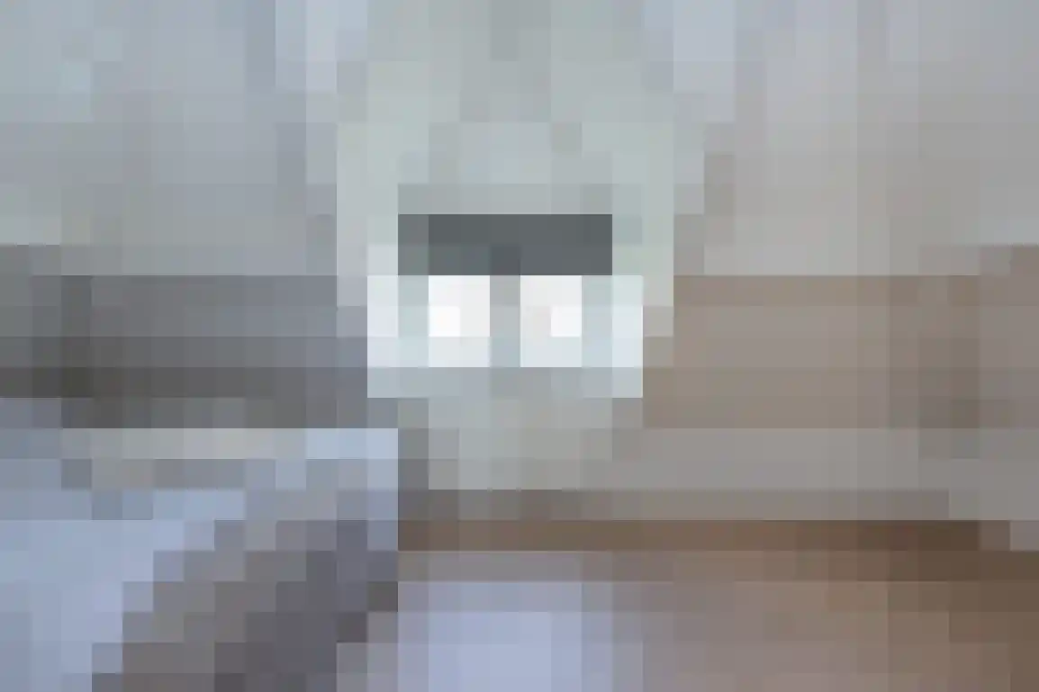 Dieklaan 12 Middelharnis thumbnail 18