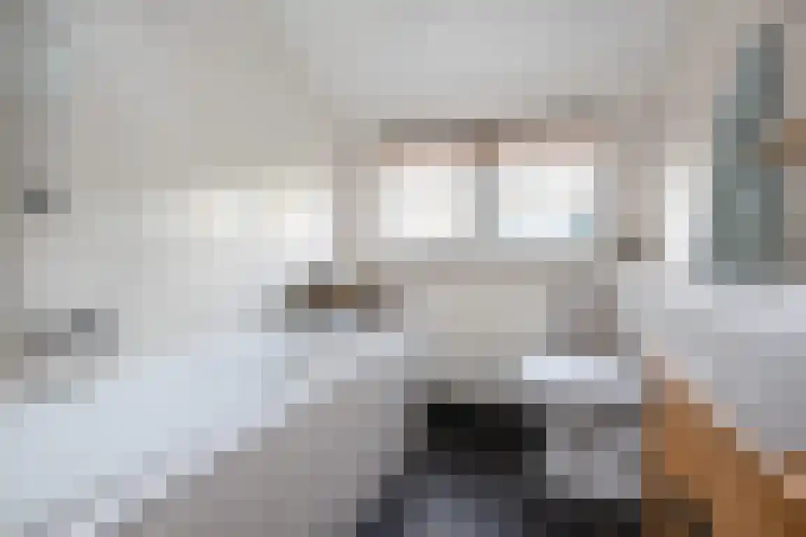 Dieklaan 12 Middelharnis thumbnail 22