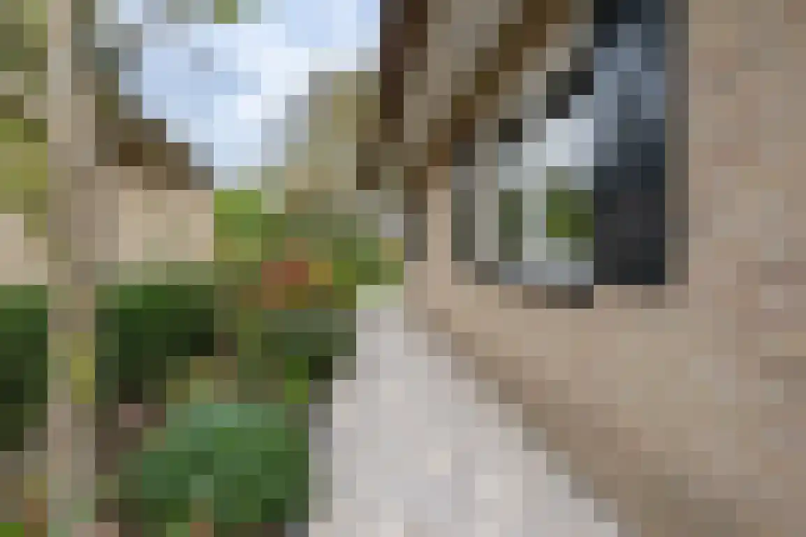 Dieklaan 12 Middelharnis thumbnail 25
