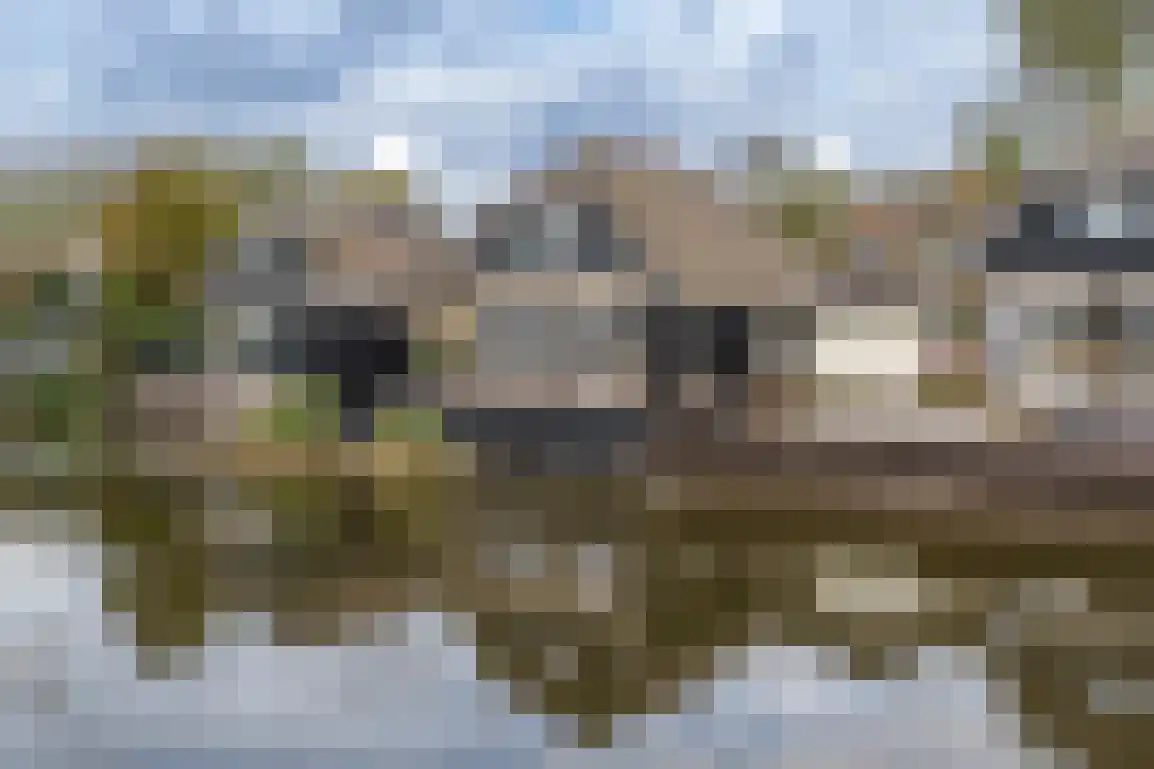 Dieklaan 12 Middelharnis thumbnail 30