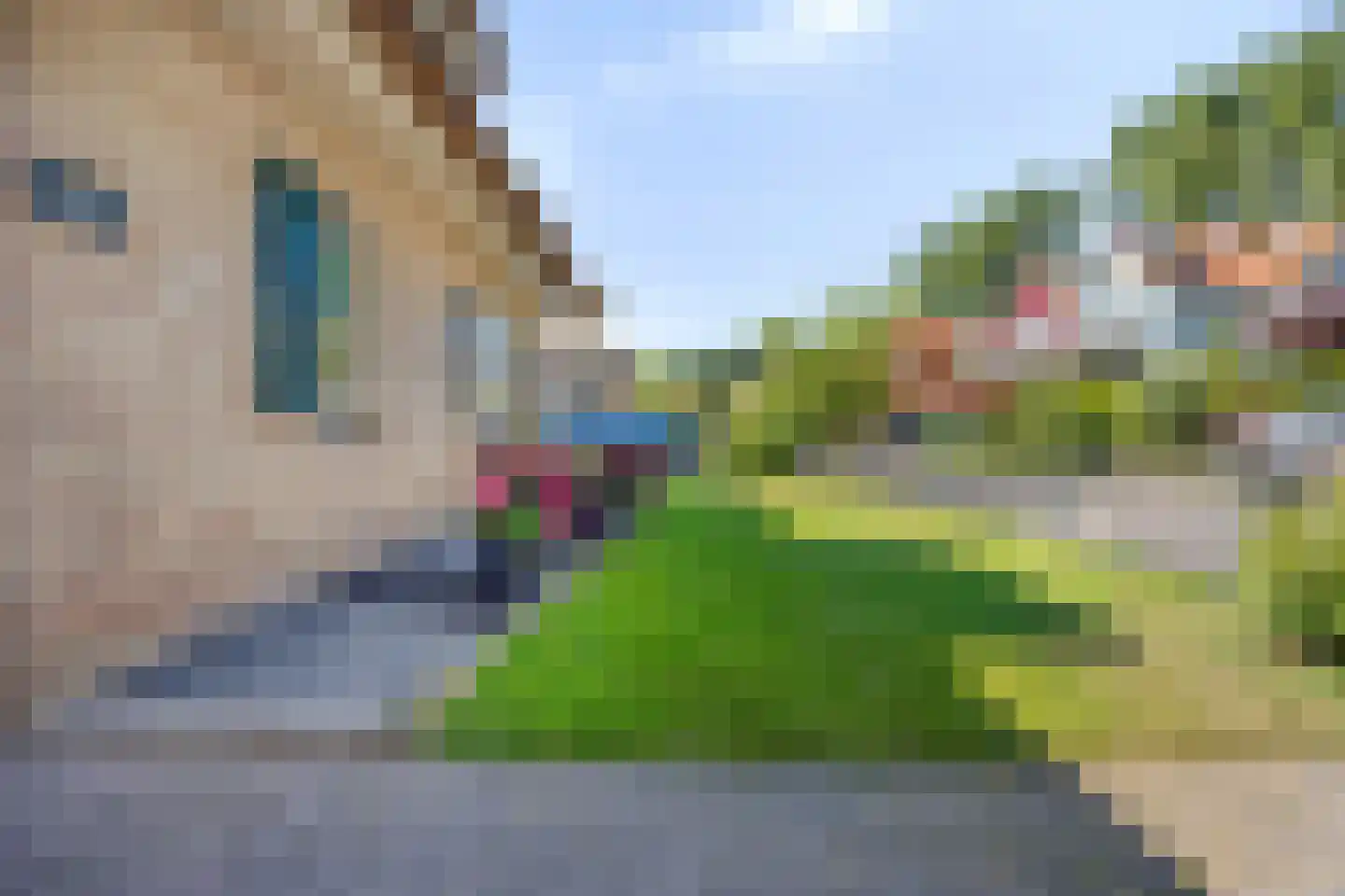 Dieklaan 22 Middelharnis thumbnail 29