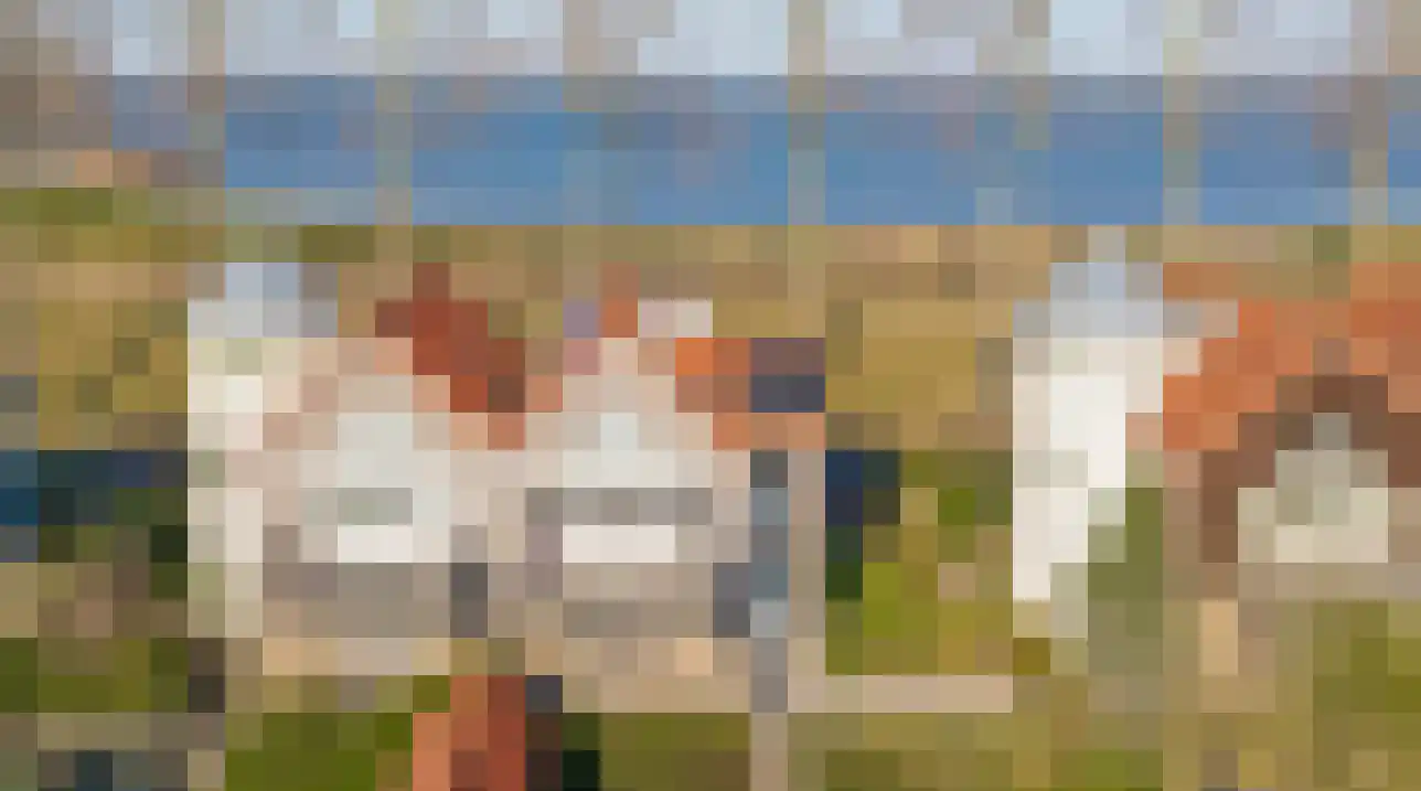 Dieklaan 35 Middelharnis thumbnail 39
