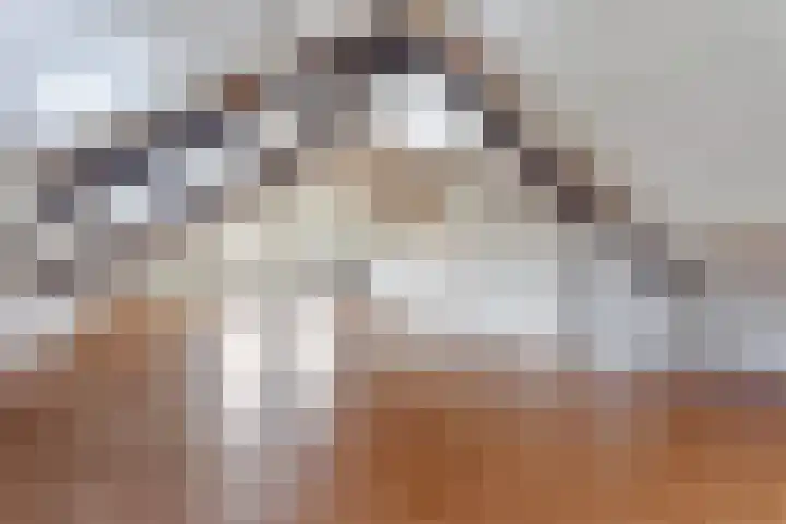 Diekmanweg 2 Denekamp thumbnail 4