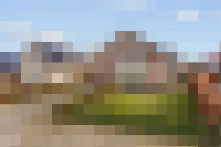 Diekmanweg 2 Denekamp thumbnail 6