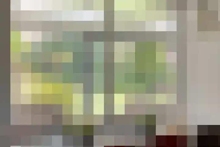 Diekmanweg 24 Denekamp thumbnail 11