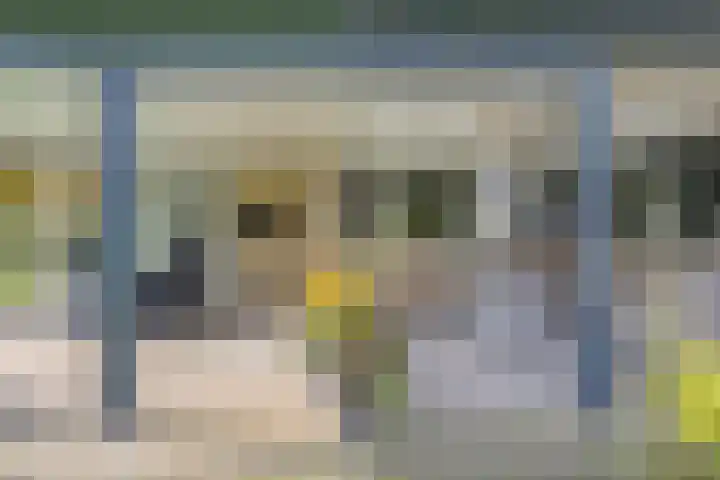 Diekmanweg 24 Denekamp thumbnail 35