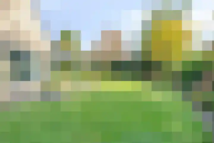 Diekmanweg 24 Denekamp thumbnail 39