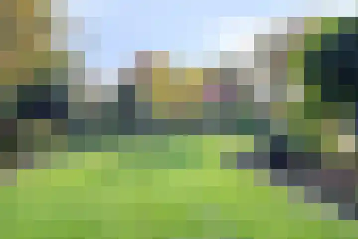 Diekmanweg 24 Denekamp thumbnail 41