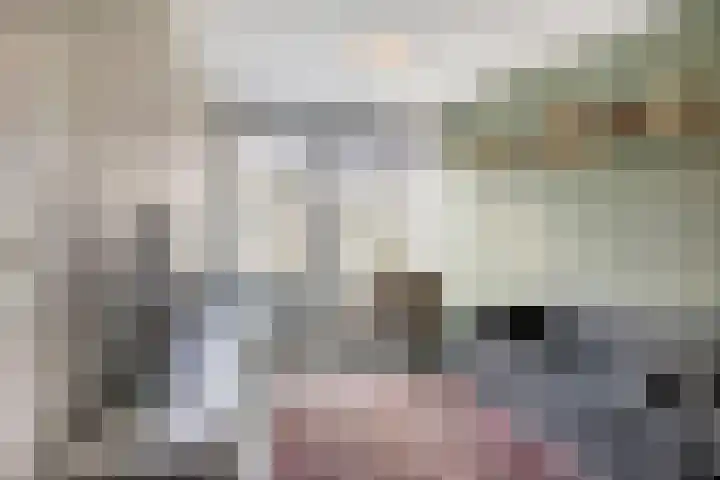 Diemewei 4108 Wijchen thumbnail 10