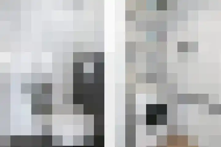 Diemewei 4108 Wijchen thumbnail 21