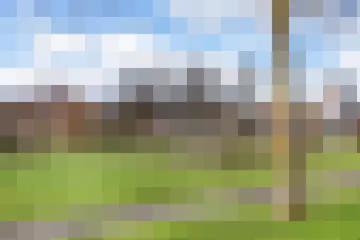 Diemewei 4108 Wijchen thumbnail 28