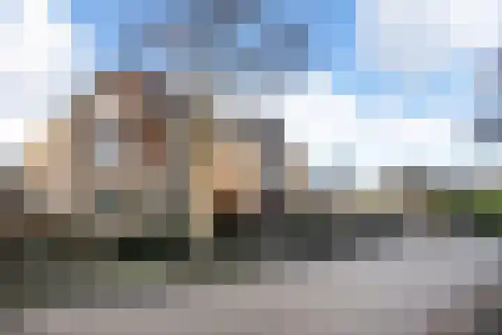 Diemewei 4108 Wijchen thumbnail 30
