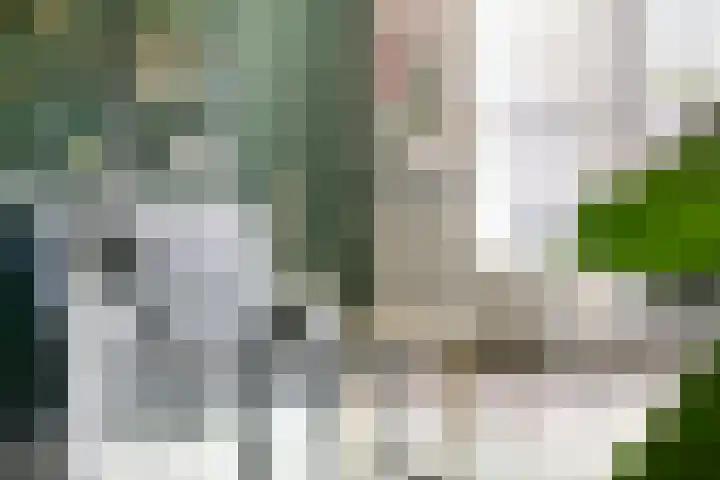 Diemewei 4108 Wijchen thumbnail 5