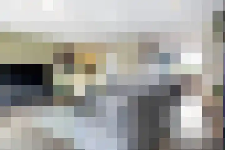 Diemewei 4108 Wijchen thumbnail 6