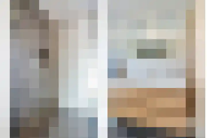 Diemewei 4219 Wijchen thumbnail 12