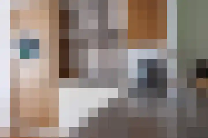 Diemewei 4806 Wijchen thumbnail 12