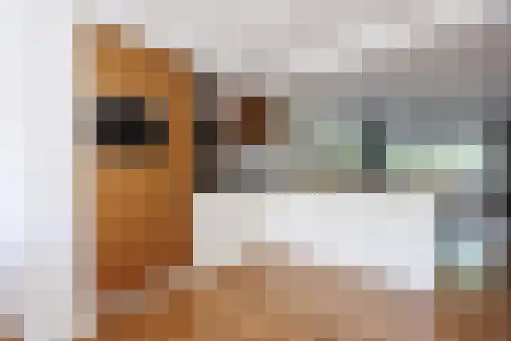 Diemewei 4806 Wijchen thumbnail 13