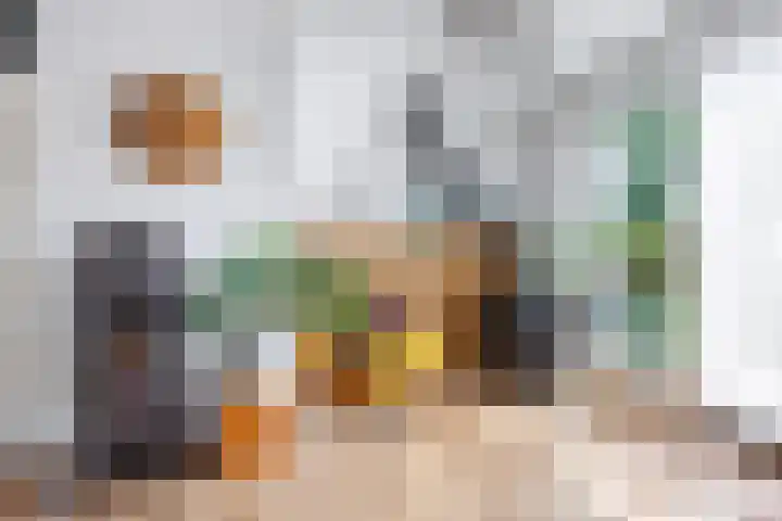 Diemewei 4806 Wijchen thumbnail 17