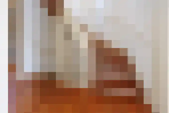 Diemewei 4806 Wijchen thumbnail 21