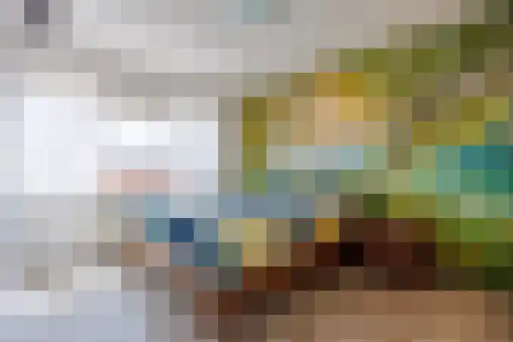 Diemewei 4806 Wijchen thumbnail 25