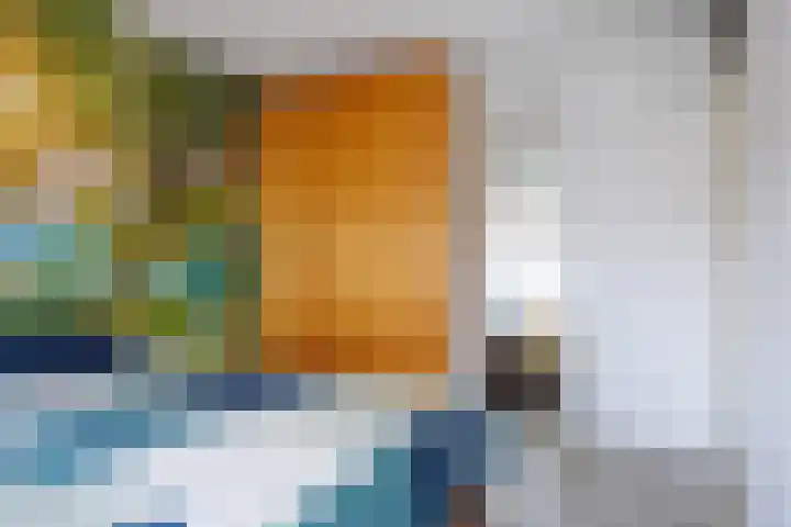 Diemewei 4806 Wijchen thumbnail 27