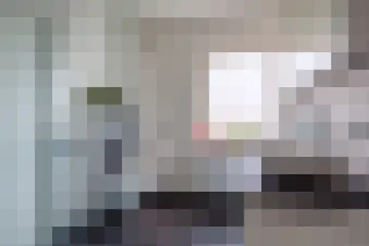 Diemewei 4806 Wijchen thumbnail 28