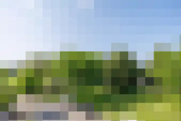 Diemewei 4806 Wijchen thumbnail 39