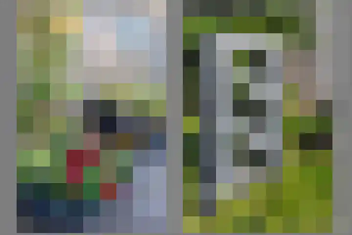 Diemewei 4806 Wijchen thumbnail 43