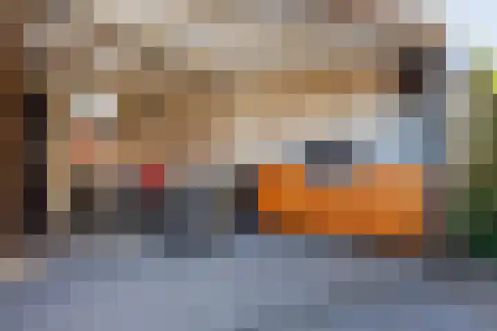 Diemewei 4806 Wijchen thumbnail 44