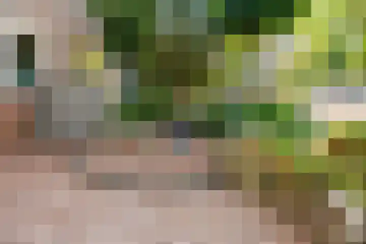 Diemewei 4806 Wijchen thumbnail 48
