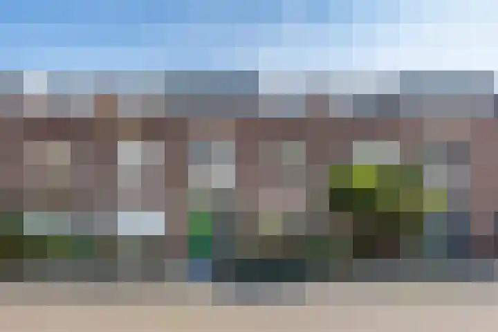 Diemewei 4806 Wijchen thumbnail 50