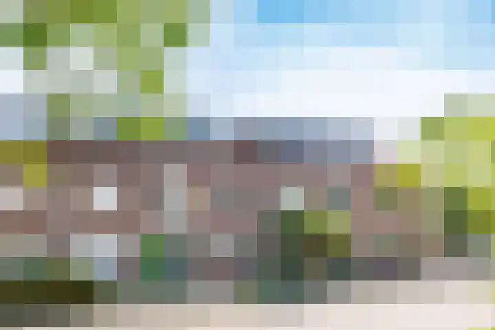Diemewei 4806 Wijchen thumbnail 53