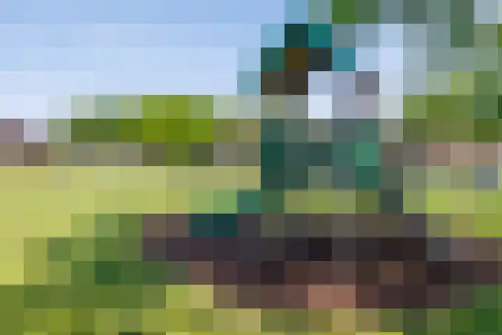 Diemewei 4806 Wijchen thumbnail 55