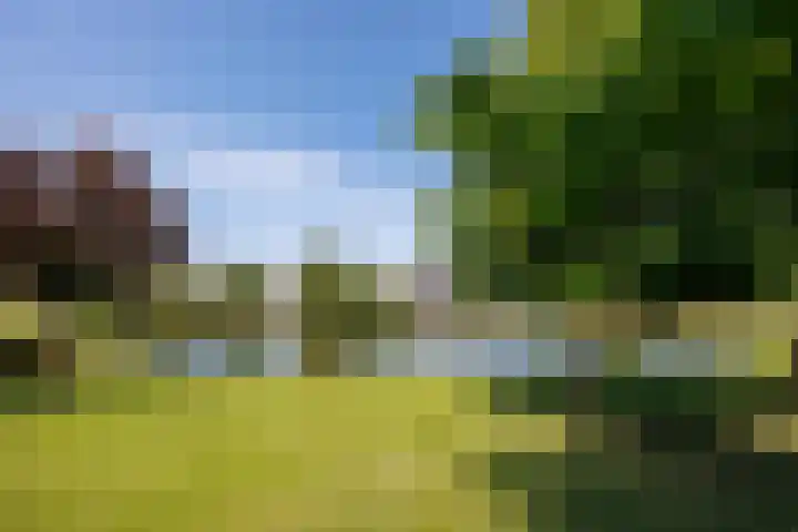 Diemewei 4806 Wijchen thumbnail 56