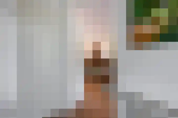 Diemewei 4806 Wijchen thumbnail 6