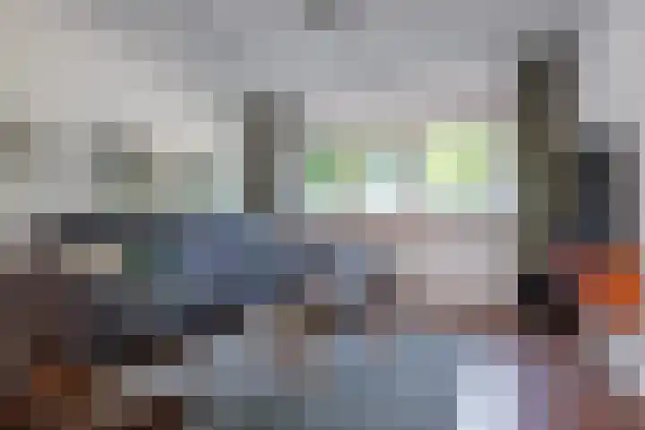 Diemewei 4806 Wijchen thumbnail 7