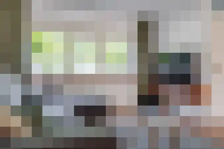 Diemewei 4806 Wijchen thumbnail 8